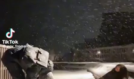 Greenlanders are trolling the US by pretending to be fentanyl addicts