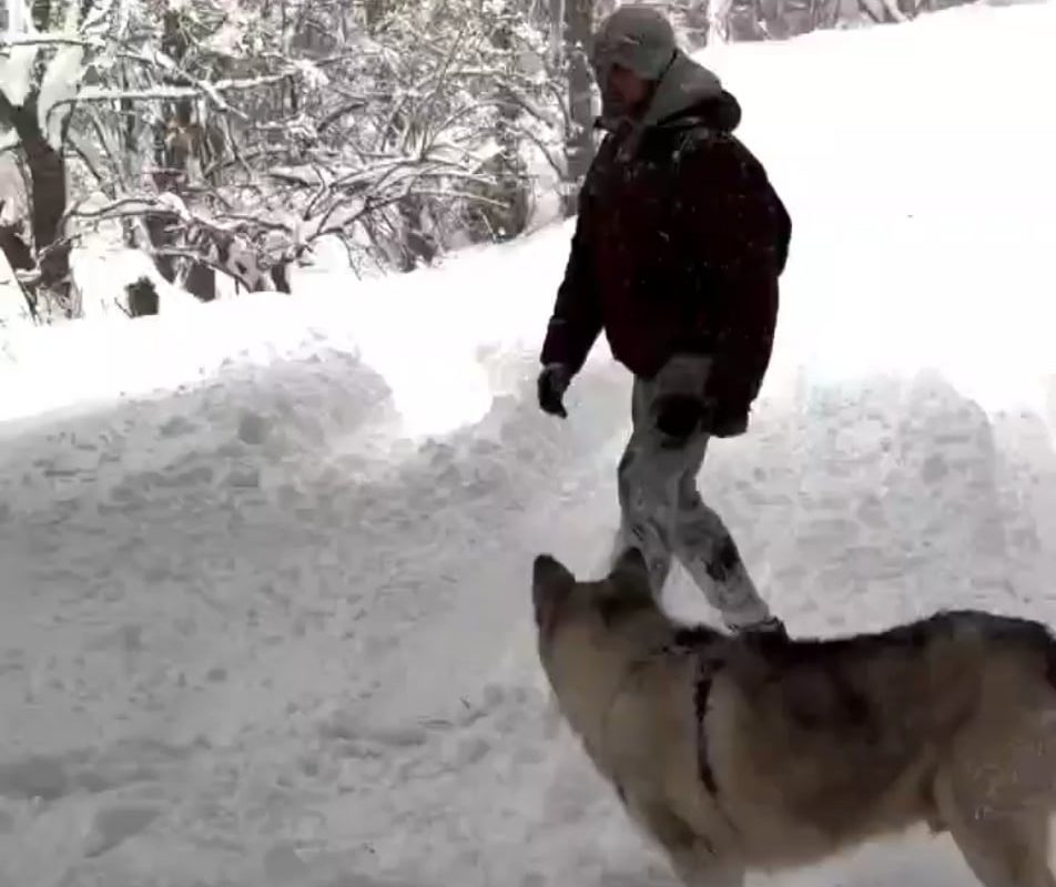 Guy kicks the tree to knock the snow off.