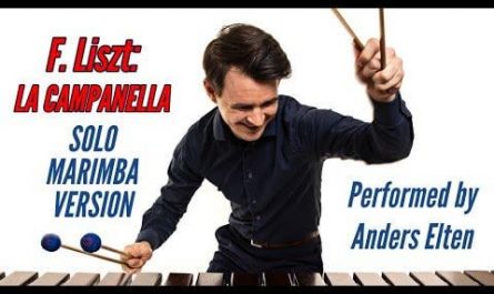 Guy plays La Campanella on a marimba.