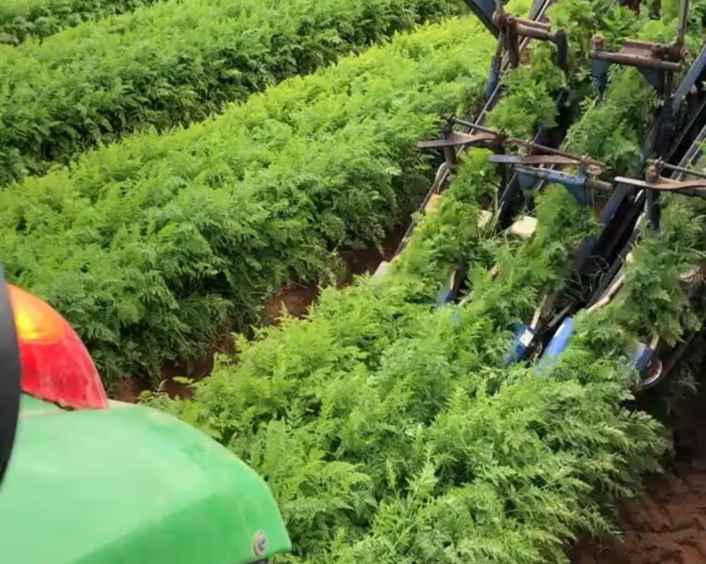 Harvest season with advance technology