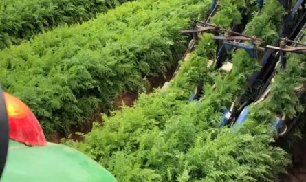 Harvest season with advance technology