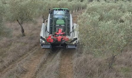 Harvesting by machine