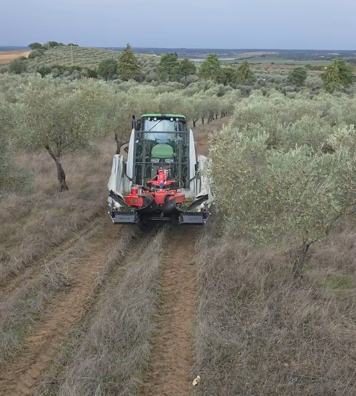 Harvesting by machine