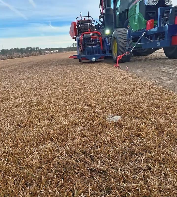 Harvesting centipede