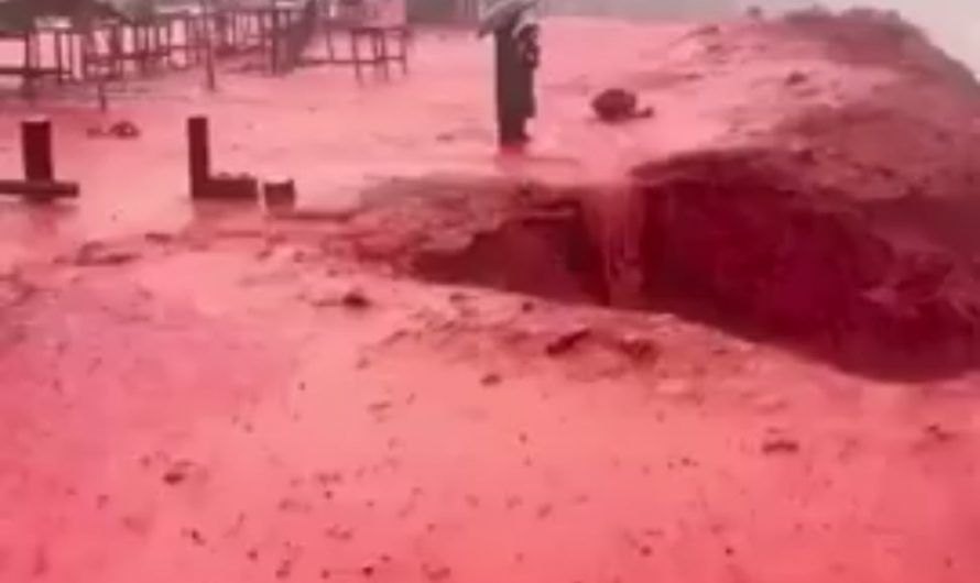Heavy December Rains Turn Hormuz Island’s Red Beach Sea Bright Red in Rare Natural Sight
