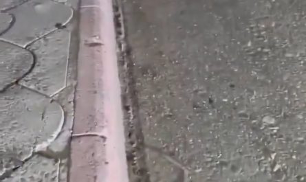 Hedgehog gets the tape removed