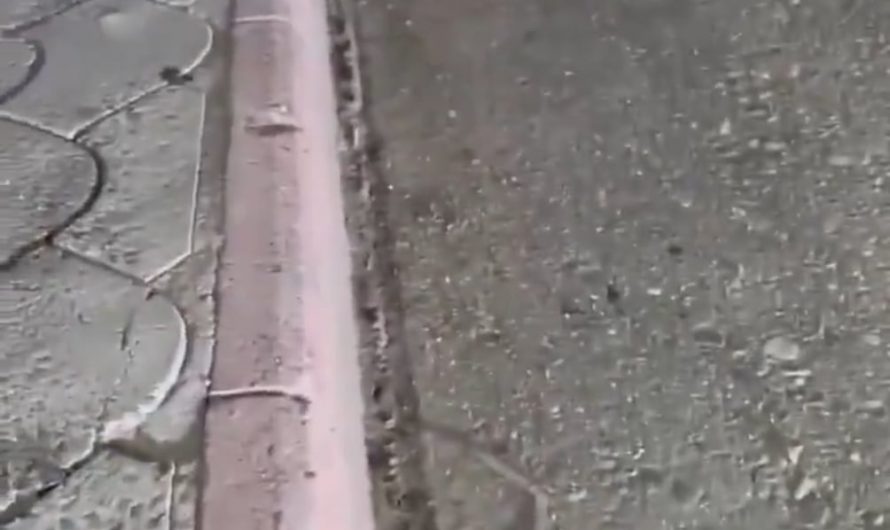 Hedgehog gets the tape removed