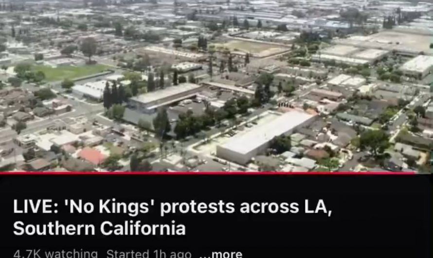 Helicopter pilot ranting about his marriage while covering the “No Kings” protest. 😂💀