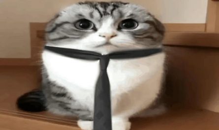 He’s just a chill hard working guy