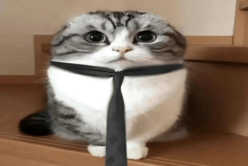 He’s just a chill hard working guy