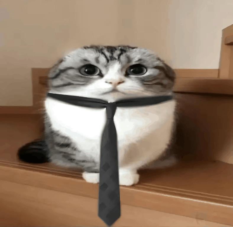 He’s just a chill hard working guy