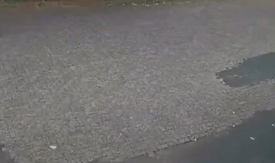 His friends will never believe him.