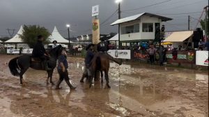Horse body slams rider.