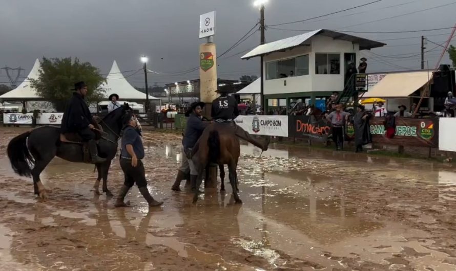 Horse body slams rider.