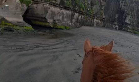 Horse galloping through a sea cave on a New Zealand beach