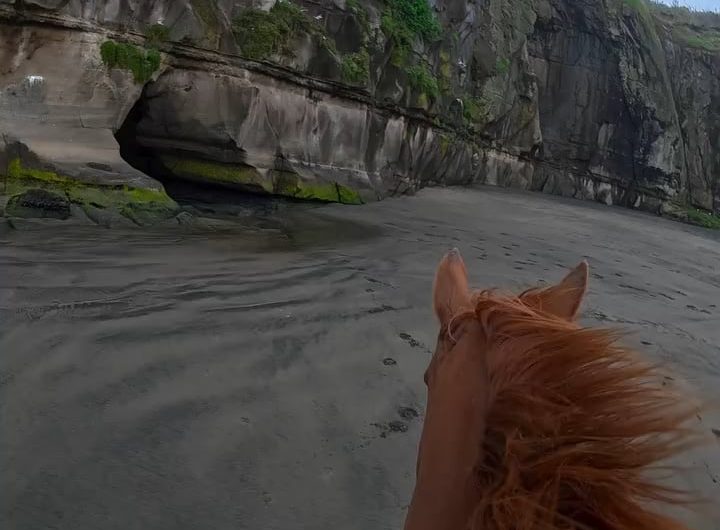 Horse galloping through a sea cave on a New Zealand beach