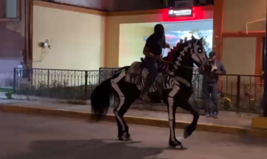 Horse skeleton “costume” for Día de muertos in Mexico