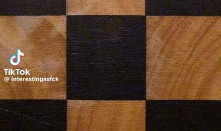 How a mouse melon was grown from seed in timelapse