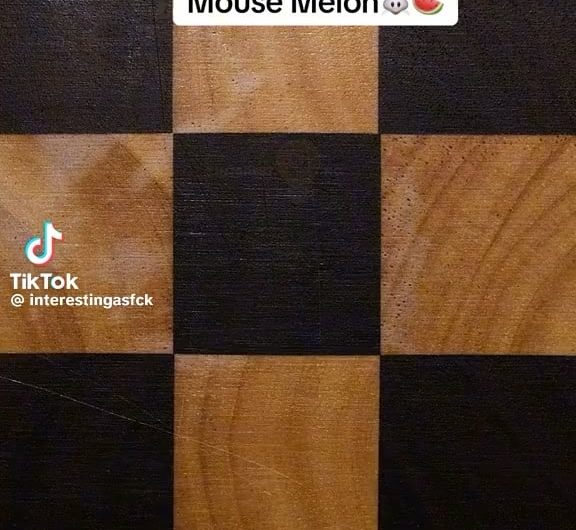 How a mouse melon was grown from seed in timelapse