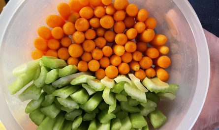 How my dad organized the veggies for our NYE party