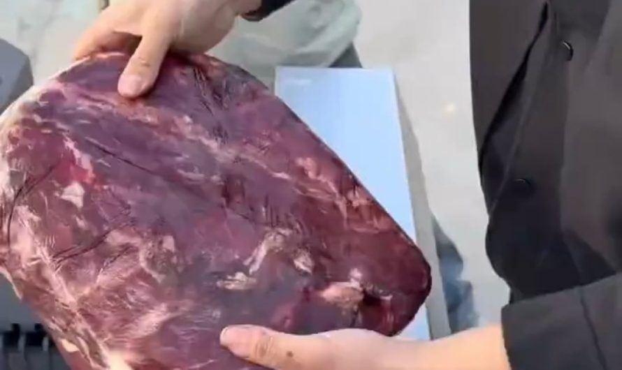 How to cut meat the right way