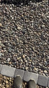 I didn’t know rocks could be crunchy