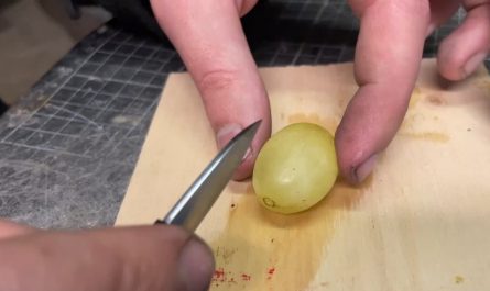I sliced up a grape with my tiny Japanese chef knife.