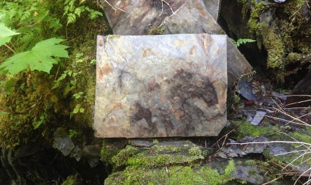 I stumbled on this freakishly perfect rock in the Alaskan wilderness miles from any road.