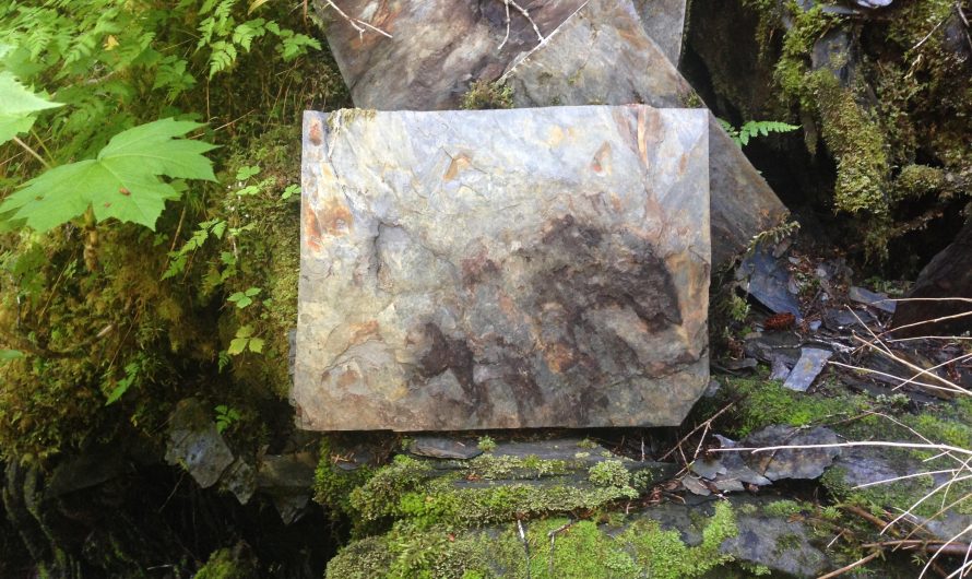 I stumbled on this freakishly perfect rock in the Alaskan wilderness miles from any road.