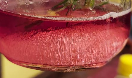 Ice bubbles in a cocktail