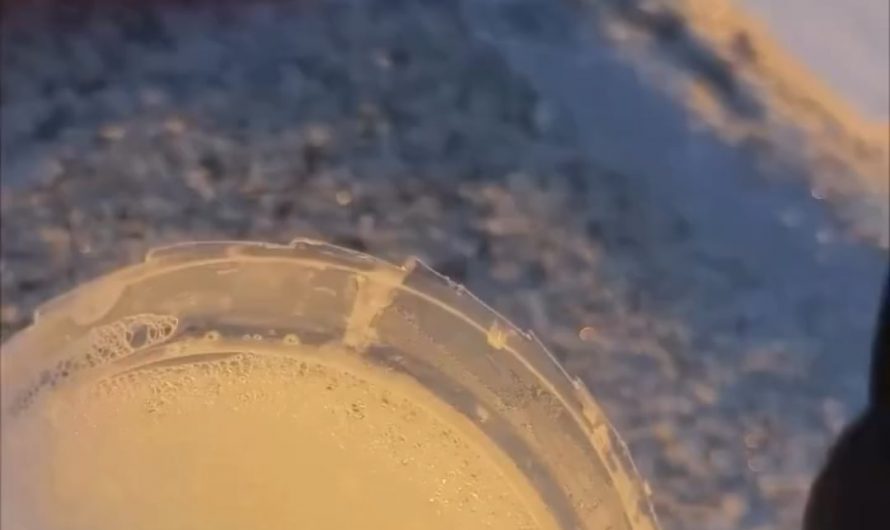 Ice crystals forming on a soap film at sunset