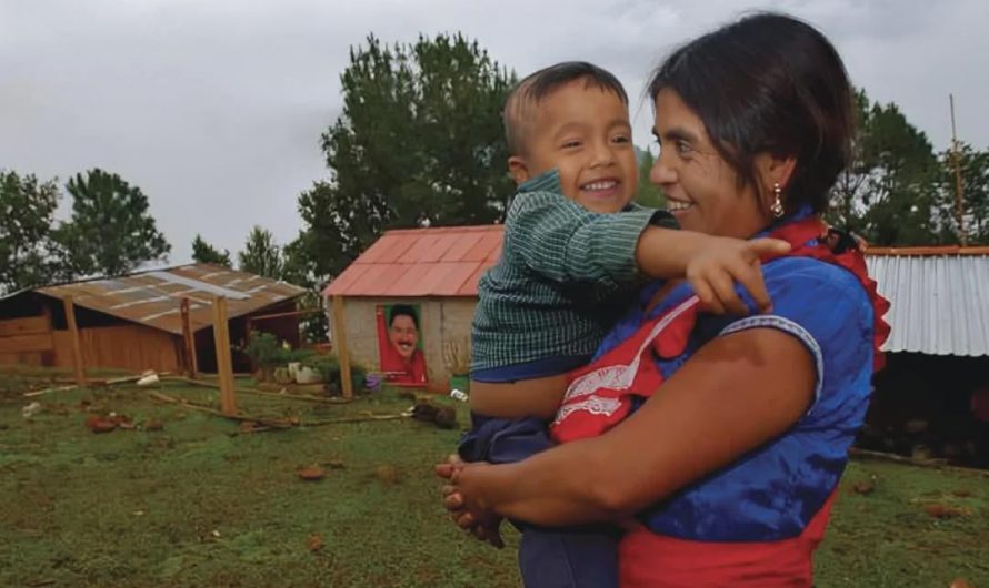 In 2000, a Mexican woman performed a C-section on herself with a kitchen knife after enduring 12 hours of constant pain. After 3 attempts to open her abdomen, she successfully made a 17 cm vertical incision, whereas a typical incision is 10 cm and horizontal. Remarkably, without any training.