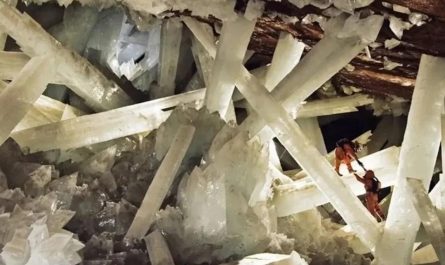 In 2000, while working in the Naica mine in Mexico, about 300 meters underground, two miners accidentally discovered an astonishing chamber unlike any other. This cave is unlike any other; it contains the largest natural crystals ever found on Earth.
