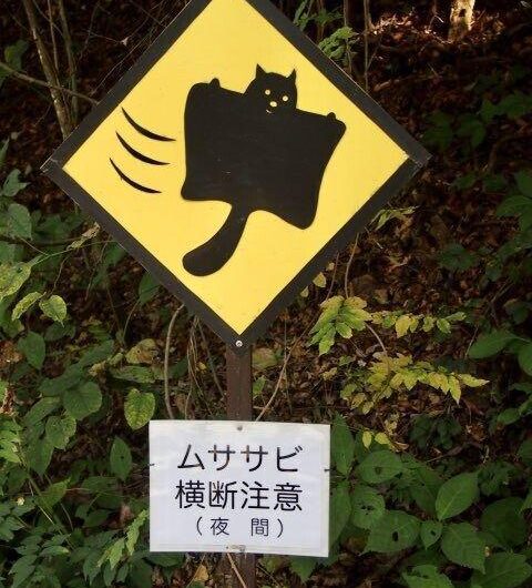 In Karuizawa, Japan, which is famous for its flying squirrel habitat, they made flying squirrel crossing signs to warn the drivers near their habitat. Pretty cute, huh?