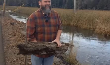 Interaction between log and whirlpool and results