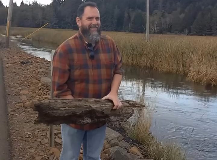 Interaction between log and whirlpool and results