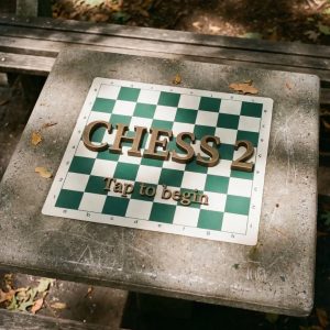 Interactive thing I made where you can throw chess pieces at the board in a satisfying way