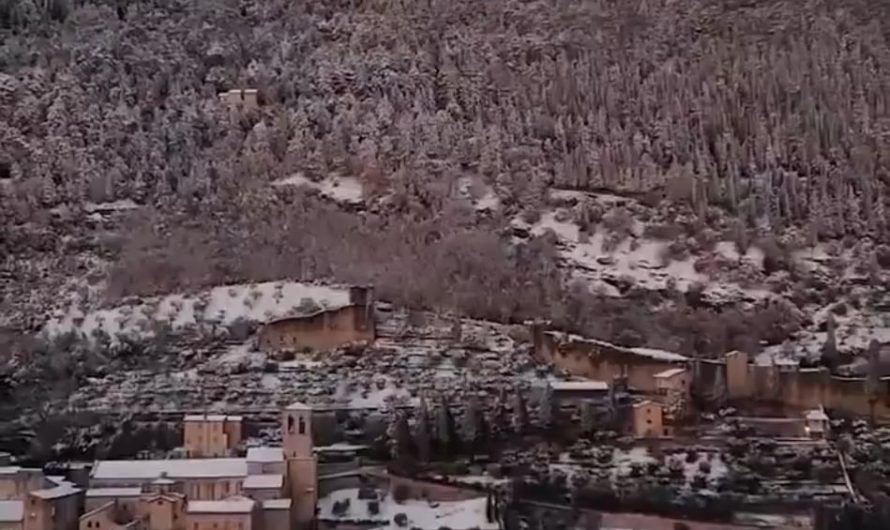Italy has the world’s largest Christmas tree