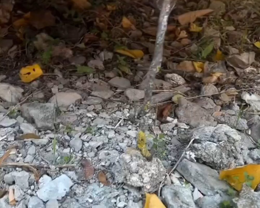 It's "THE STICK" 🗿