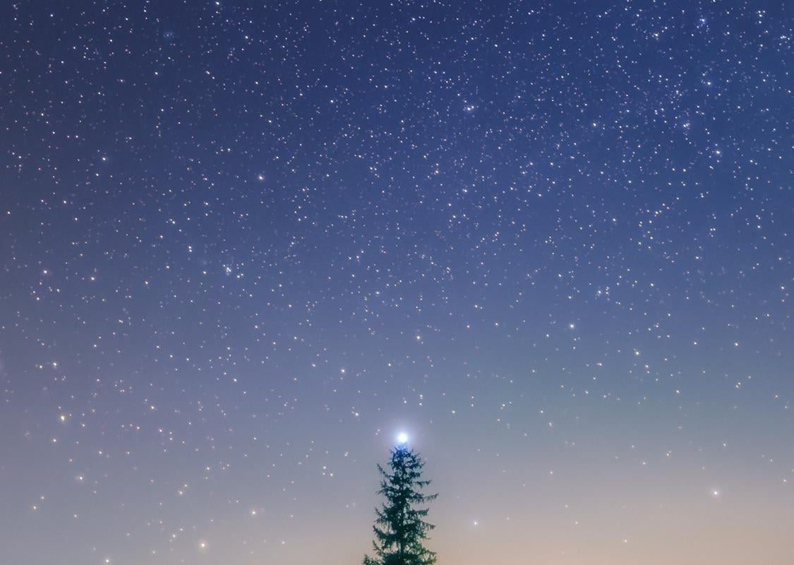 Japanese Photographer Captures a magical moment where Sirius B star was visible just above the  Christmas tree. By nature, a perfect christmas tree. (source below)