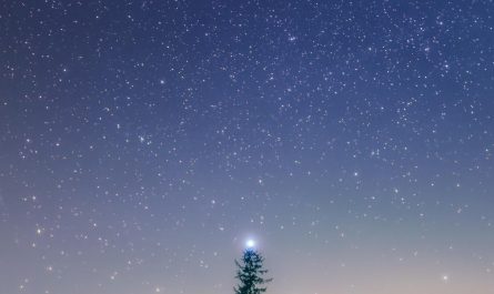Japanese Photographer Captures a magical moment where Sirius B star was visible just above the  Christmas tree. By nature, a perfect christmas tree. (source below)