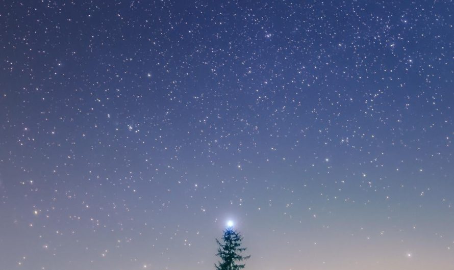 Japanese Photographer Captures a magical moment where Sirius B star was visible just above the  Christmas tree. By nature, a perfect christmas tree. (source below)