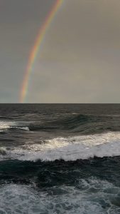 Just how beautiful is this!