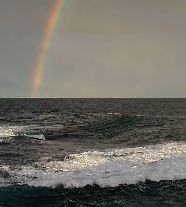 Just how beautiful is this!