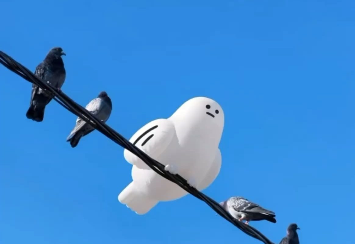 Just some pigeons and their new inflatable friend