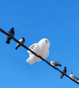 Just some pigeons and their new inflatable friend