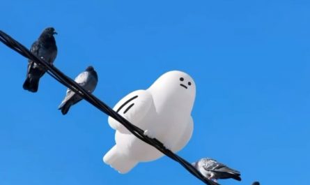 Just some pigeons and their new inflatable friend