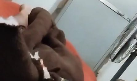 King cobra entered in house Uttarakhand, India