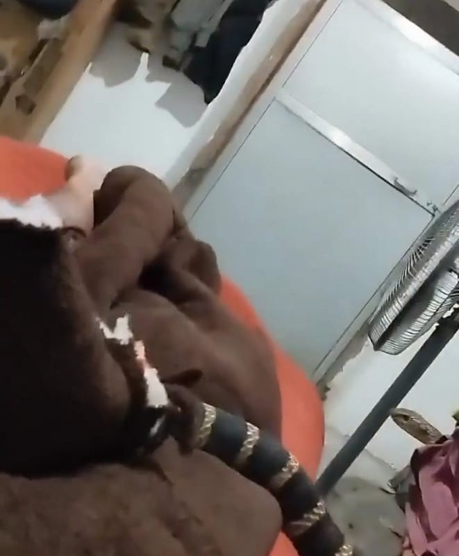 King cobra entered in house Uttarakhand, India