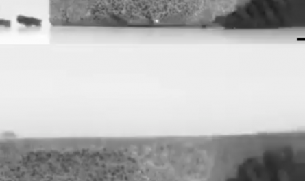 Korean scientists developed micro robots that is inspired by Ants.